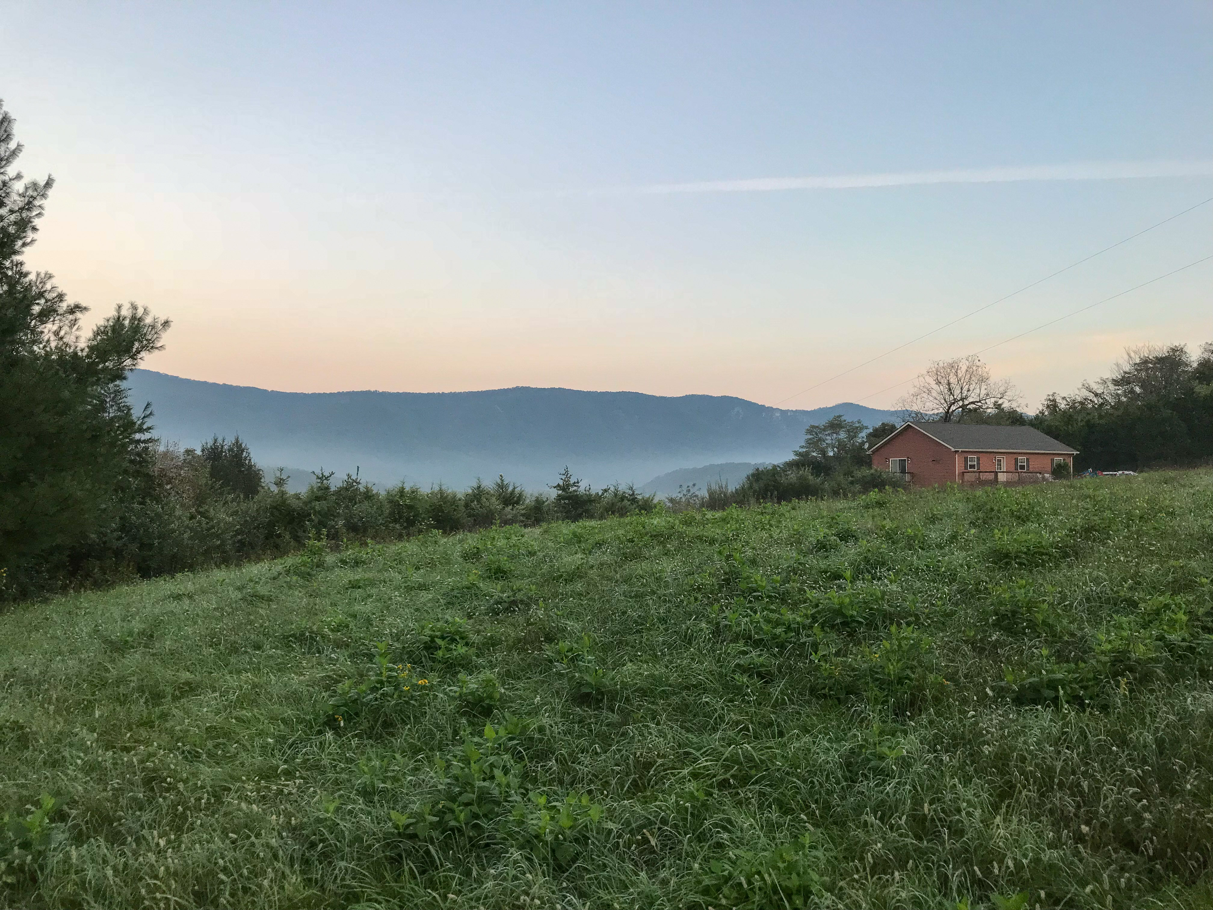 Morning at Star View, Rileyville, VA