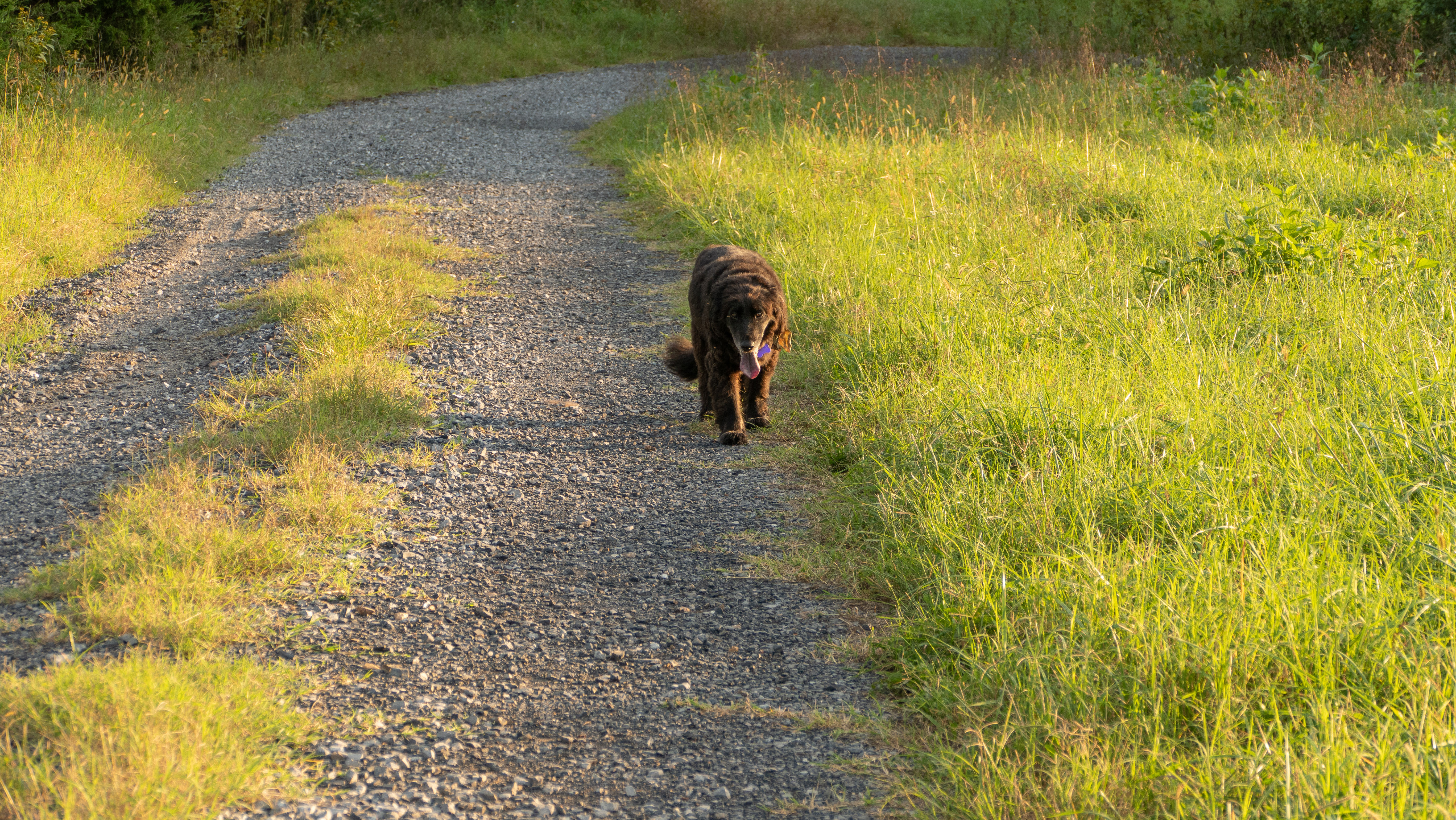After Shock, Rileyville, VA