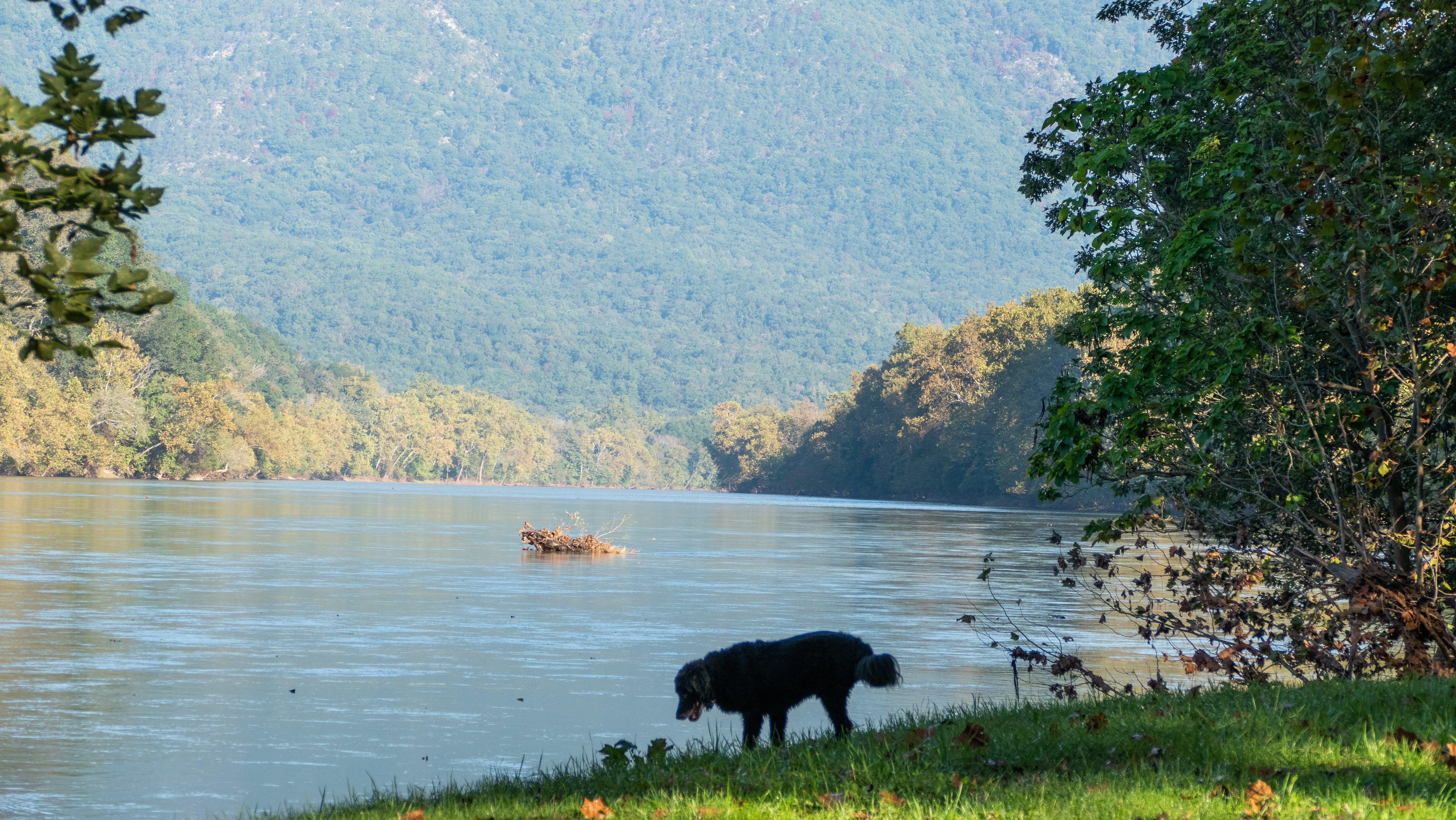 Shenandoah River, Rileyville, VA