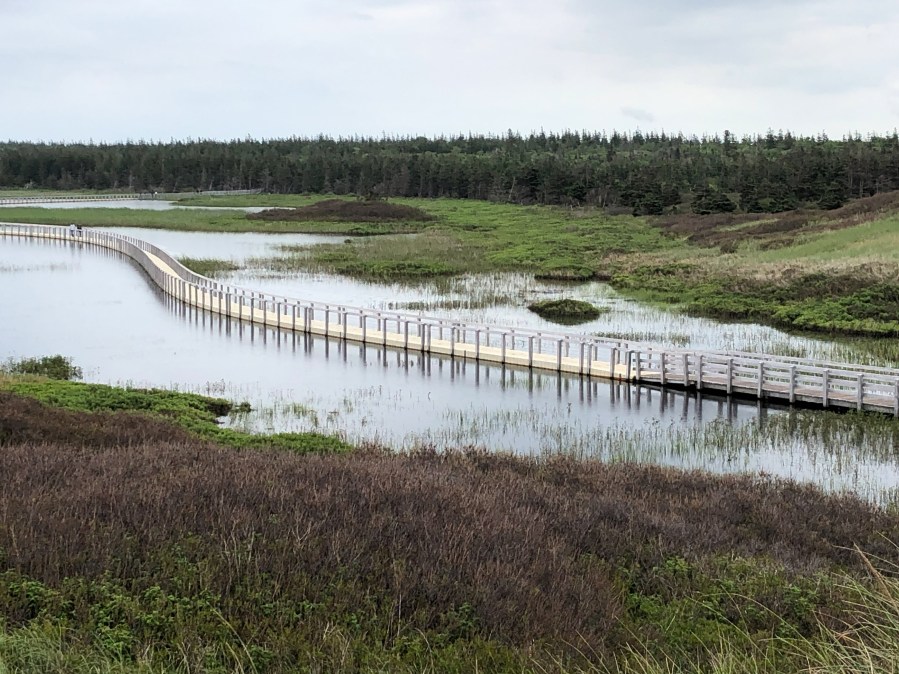 Parabolic Dunes of&nbsp;Greenwich