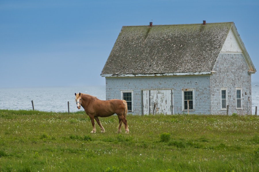 Montague, Murray River, Panmure and Wood&nbsp;Islands