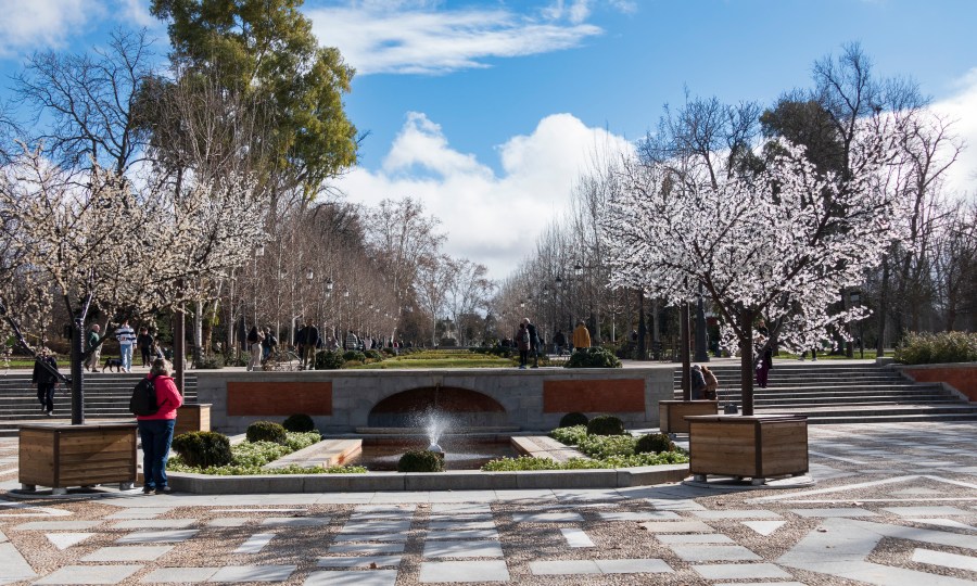 A Walk in the&nbsp;Park