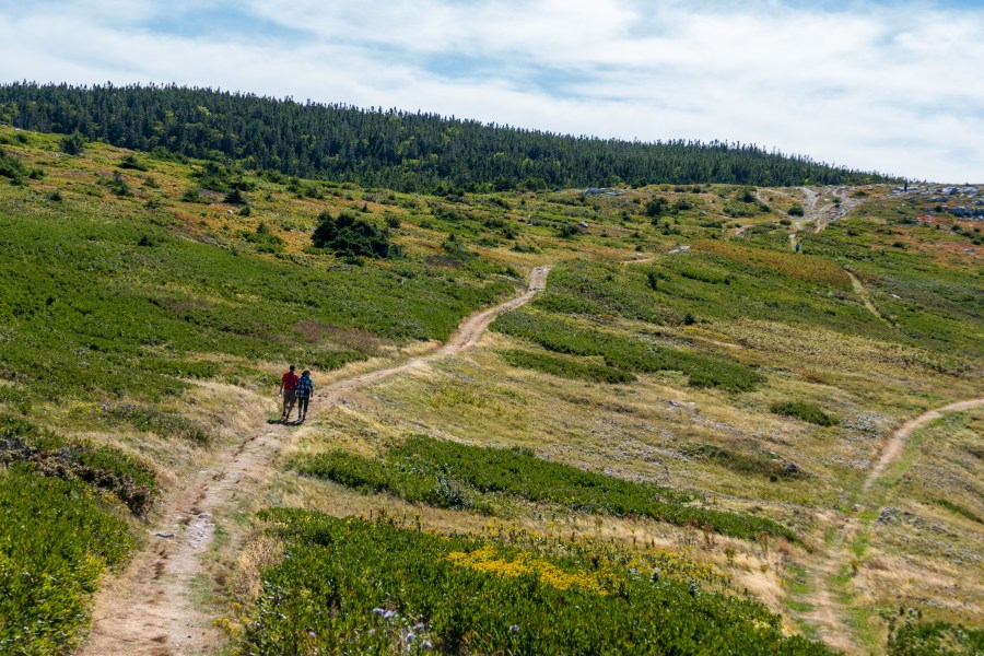 White Point & Cabot&nbsp;Landing